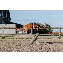 Imbracatura per cani RIDING WORLD - Simba Marina Blu marino