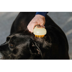 Striglia Hippotonic Vapore Crema Beige Striglia Hippotonic Vapore Crema Beige