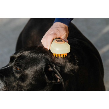 Striglia Hippotonic Vapore Crema Beige Striglia Hippotonic Vapore Crema Beige