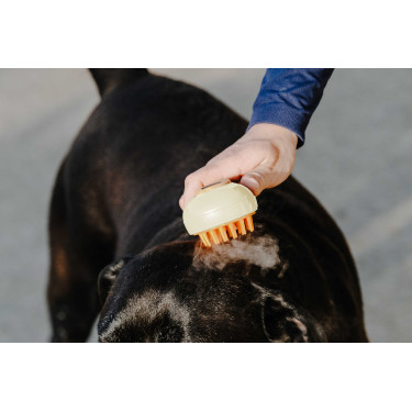 Striglia Hippotonic Vapore Crema Beige Striglia Hippotonic Vapore Crema Beige