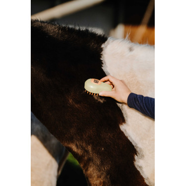 Striglia Hippotonic Vapore Crema Beige Striglia Hippotonic Vapore Crema Beige