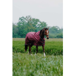 Coperta Equithème TYREX 1200D High Neck Bordeaux Coperta Equithème TYREX 1200D High Neck Bordeaux