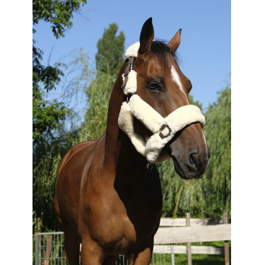Capezzina Equithème Teddy Capezzina Equithème Teddy