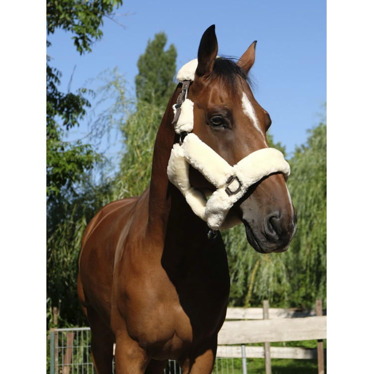 Capezzina Equithème Teddy
