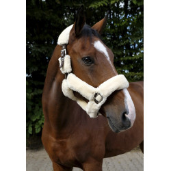 Capezzina Equithème Teddy Capezzina Equithème Teddy