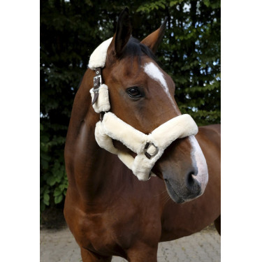 Capezzina Equithème Teddy Capezzina Equithème Teddy