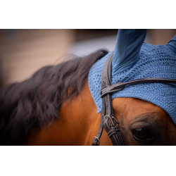 Cuffia per cavalli Pénélope Cotone Blu laguna