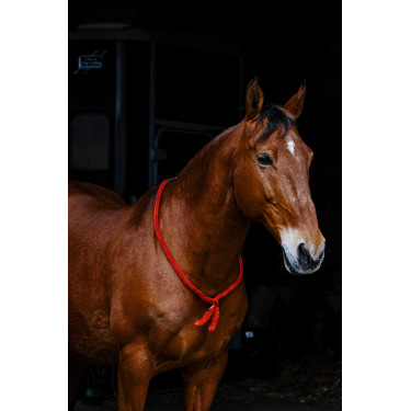 Cordicella Norton Rosso