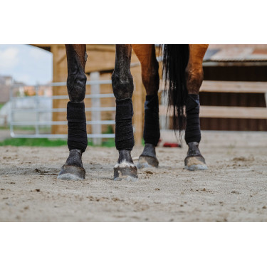 Fasce da polo Equithème set da 4 Nero
