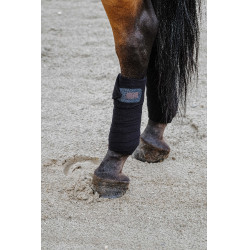 Fasce da polo Equithème set da 4 Nero