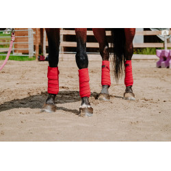 Fasce da polo Equithème set da 4 Rosso Fasce da polo Equithème set da 4 Rosso