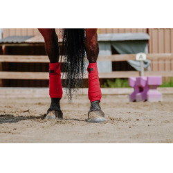 Fasce da polo Equithème set da 4 Rosso Fasce da polo Equithème set da 4 Rosso