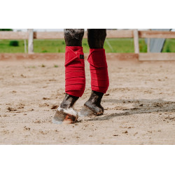 Fasce da polo Equithème set da 4 Rosso