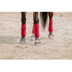 Fasce da polo Equithème set da 4 Rosso Fasce da polo Equithème set da 4 Rosso