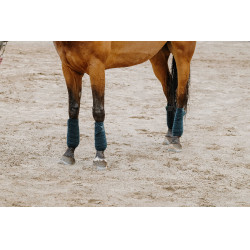 Fasce da polo Equithème set da 4 Verde scuro