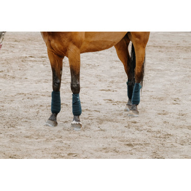 Fasce da polo Equithème set da 4 Verde scuro