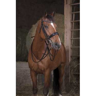 Redini da rete NORTON - 16 mm Nero