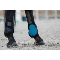 Paratendini Equithème