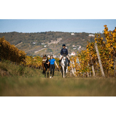 Felpa Equithème Hervé Blu navy