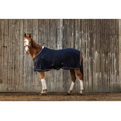 Camicia Equithème Micro mesh Blu navy