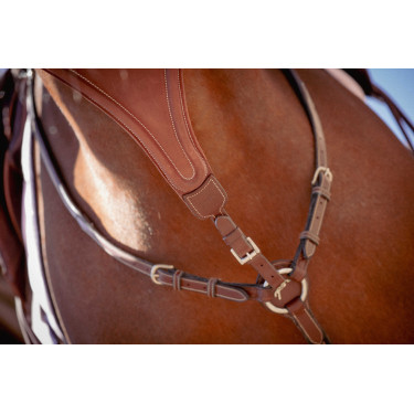 Freccia di martingala Pénélope Bip Plain Elastico Nocciola Marrone