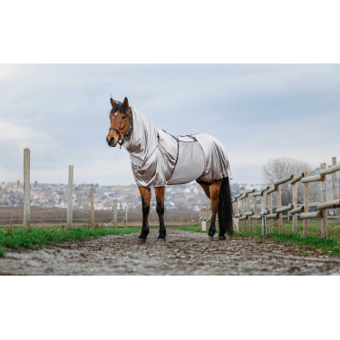 Camicia anti-eczema Riding World Grigio Camicia anti-eczema Riding World Grigio