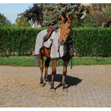 Camicia da lavoro Riding World anti-mosche Grigio