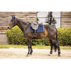 Vliegennetje Lami-Cell Galaxy Blu navy