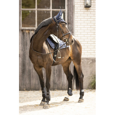 Vliegennetje Lami-Cell Galaxy Blu navy