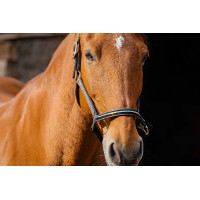 Capestro in nylon Equithème Domino Rame Marrone