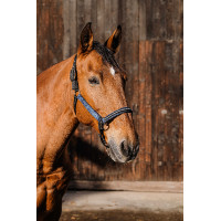 Capestro in nylon Equithème Domino Blu reale Capestro in nylon Equithème Domino Blu reale