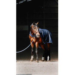 Camicia da passeggio Equithème Classic 1200D Blu navy