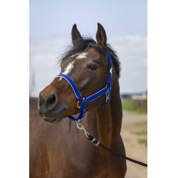 Capezzina Equithème Nylon light Blu reale