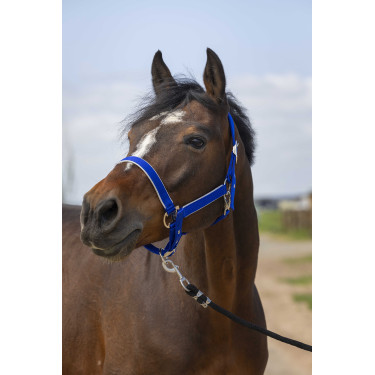Capezzina Equithème Nylon light Blu reale