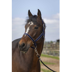 Capezzina Equithème Nylon light Blu navy