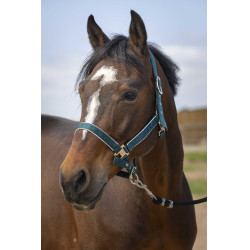 Capezzina Equithème Nylon light Verde scuro