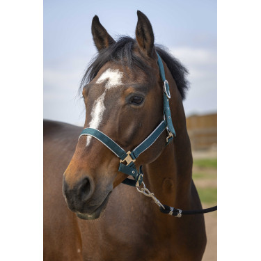 Capezzina Equithème Nylon light Verde scuro