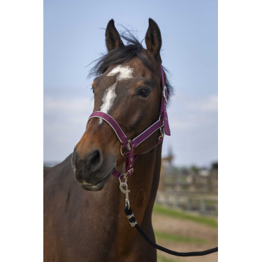 Capezzina Equithème Nylon light Bordeaux Capezzina Equithème Nylon light Bordeaux