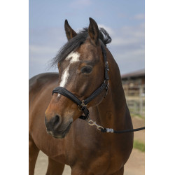 Capestro Equithème Nylon Strass Nero