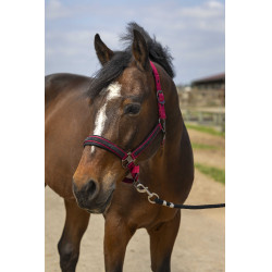 Capestro Equithème Nylon Strass Bordeaux