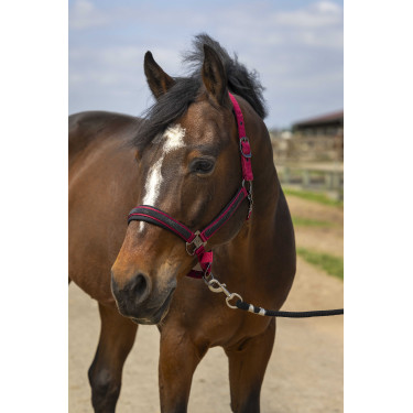 Capestro Equithème Nylon Strass Bordeaux