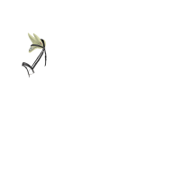 Cuffia antimosche LeMieux Esme Mais blu