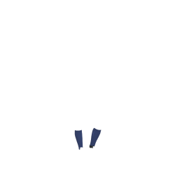 Calzini da concorso LeMieux Sparkle Ombra Blu