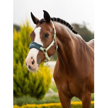 Capestro e lunghina LeMieux Vogue Esme Distintivo