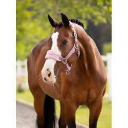 Capestro e lunghina LeMieux Vogue Esme Malva Viola