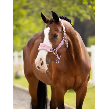 Capestro e lunghina LeMieux Vogue Esme Malva Viola