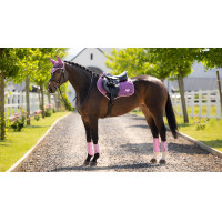 Sottosella LeMieux Loire Close Contact Square CSO Benetton Blu