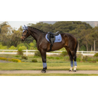 Sottosella LeMieux Loire Close Contact Square CSO Benetton Blu