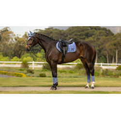 Sottosella LeMieux Loire Close Contact Square CSO Blu polvere Sottosella LeMieux Loire Close Contact Square CSO Blu polvere