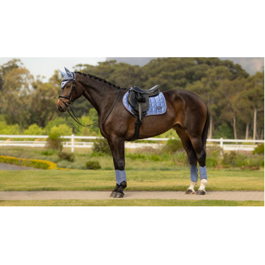 Sottosella LeMieux Loire Close Contact Square CSO Blu polvere Sottosella LeMieux Loire Close Contact Square CSO Blu polvere